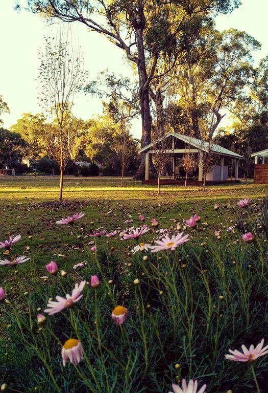 Inn The Tuarts Guest Lodge Busselton Accommodation - Adults Only Zewnętrze zdjęcie